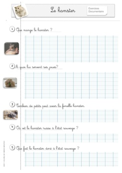 Rallye-lecture "Hamsters"