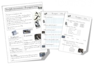 Fiche documentaire sur le pingouin ( torda)