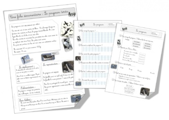 Fiche documentaire sur le pingouin ( torda)