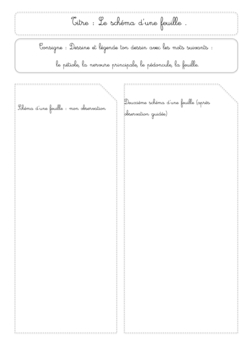 Mes fiches de sciences