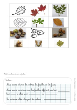 Mes fiches de sciences