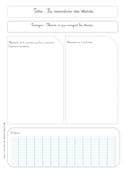 Mes fiches de sciences