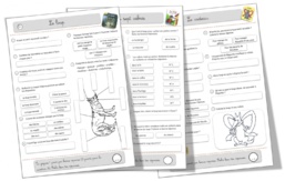 Mise à jour Rallye-loups