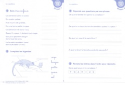 Fichier lecture en autonomie