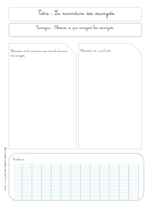 Mes fiches de sciences