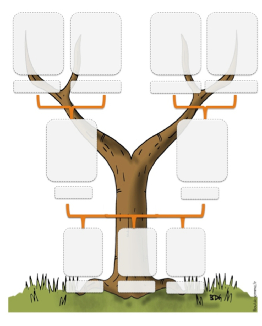 DDM:Le temps : L'arbre généalogique
