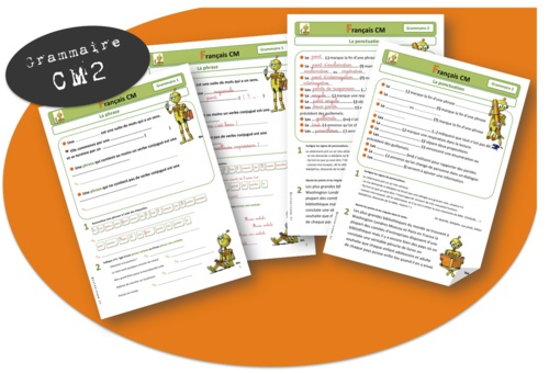 Leçons de Grammaire CM2