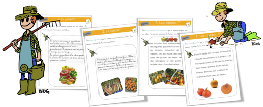 Rallye-copie : légumes !!!! CP-CE1