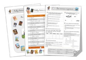 Rallye documentaires