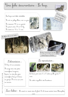 Fiche documentaire : le loup