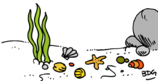 Rallye-vacances