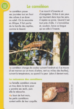 Fichier lecture en autonomie