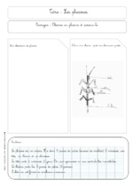 Mes fiches de sciences