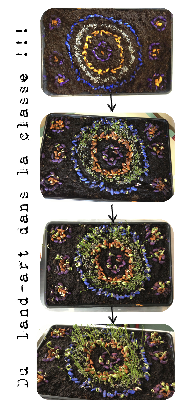 Quand les sciences se tourbillonnent avec l'art et à la littérature