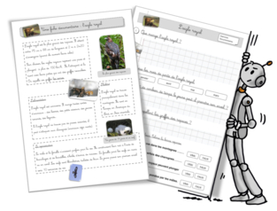 Documentaires : le renne, le crapaud ,l'aigle royal