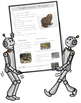 Documentaires : le renne, le crapaud ,l'aigle royal