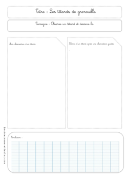Mes fiches de sciences
