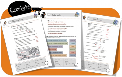 Corrigés Rallye- petits documentaires Hachette