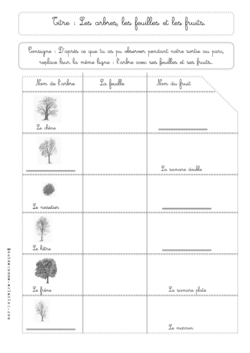Mes fiches de sciences