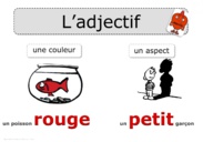 L'adjectif : affichage collectif Rseeg